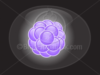 Cartoon Stem Cell Clipart