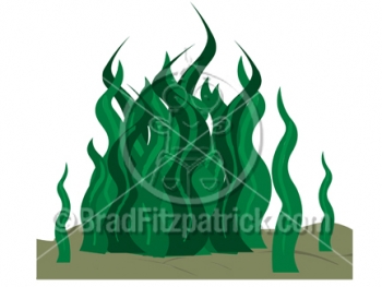 Cartoon Seaweed Clipart