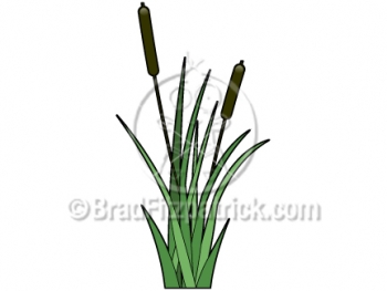 Cartoon Cattail Clipart Cat Tail