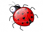 Cartoon Ladybug Clipart Character