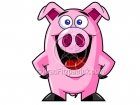 A Cartoon Pig