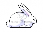 Cartoon Bunny Clipart