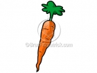 Cartoon Carrot Clipart