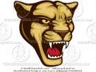 Cougar Mascot Picture