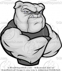 Muscular Mean Bulldog with His Arms Crossed on Chest