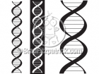 Cartoon DNA Clipart Picture
