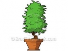 Cartoon Plant Clipart Picture