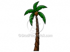 Clip Art of a Tall Palm Tree