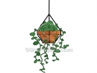 Cartoon Hanging Plant Clip Art Picture