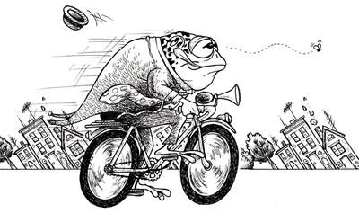 frog on bike
