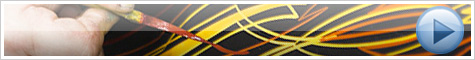 Pinstriper videos