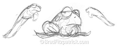 Frog drawings and sketches
