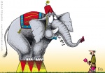 Digital Illustration of an Elephant & Cody
