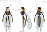 Cartoon Mosquito Character Design